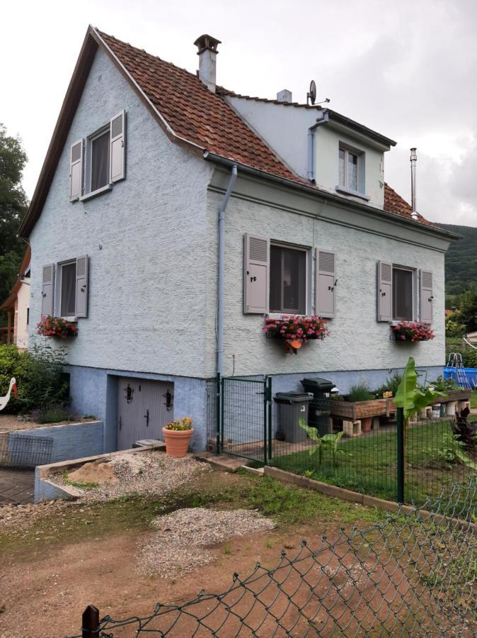 Gite Les Chiwawas D'Alsace Kaysersberg-Vignoble Kültér fotó