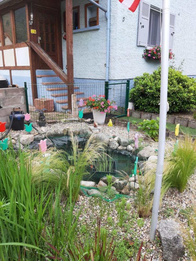 Gite Les Chiwawas D'Alsace Kaysersberg-Vignoble Kültér fotó
