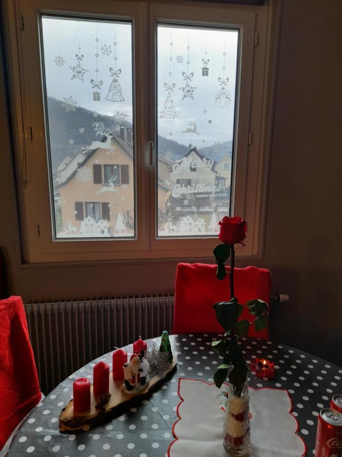 Gite Les Chiwawas D'Alsace Kaysersberg-Vignoble Kültér fotó