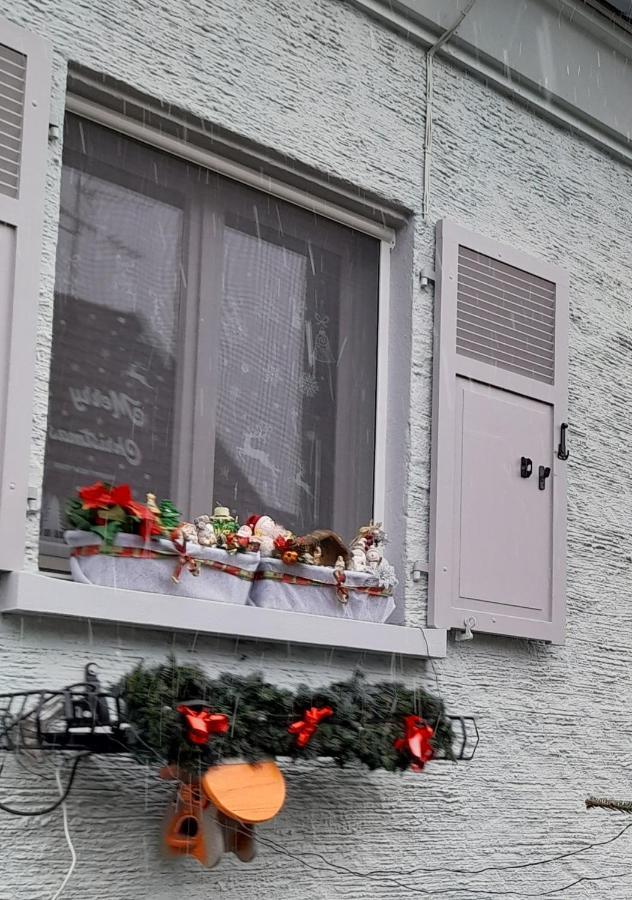 Gite Les Chiwawas D'Alsace Kaysersberg-Vignoble Kültér fotó
